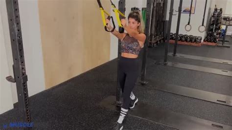MuscleWiki - Simplify your workout