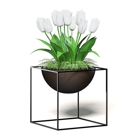 Modelo 3D De Tulipanes Blancos Modelo 3D 26 C4d Max Fbx Obj Upk