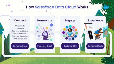 Introducci N A Salesforce Data Cloud Salesforce Trailhead