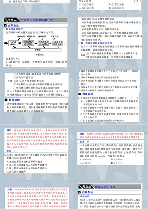 生态系统中的生产量和生物量及能量流动ppt模板卡卡办公