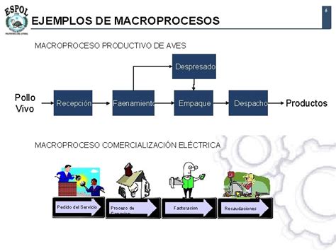 1 El Modelo De La Transformacion Q Toda