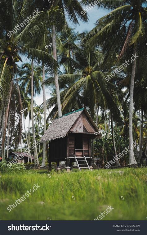 Kampung Agong Penang Malaysia Stock Photo 2195927359 Shutterstock