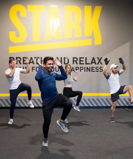 Dance Stark Smart Gym