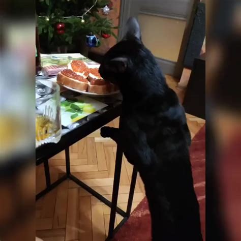 Воришка porn video on BrownPorn