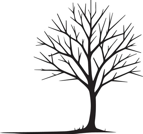 Naked Tree Vector Silhouette Black Color 36285993 Vector Art At Vecteezy