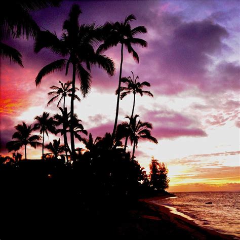 Hawaii Sunset, Purple Sunset Print, Gift for Her, Beachy Birthday Gift ...