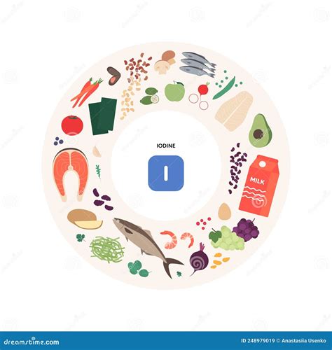 Healthy Food Guide Concept Vector Flat Illustration Infographic Of