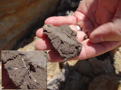 22,000-year-old artifacts could rewrite ancient human history in North ...