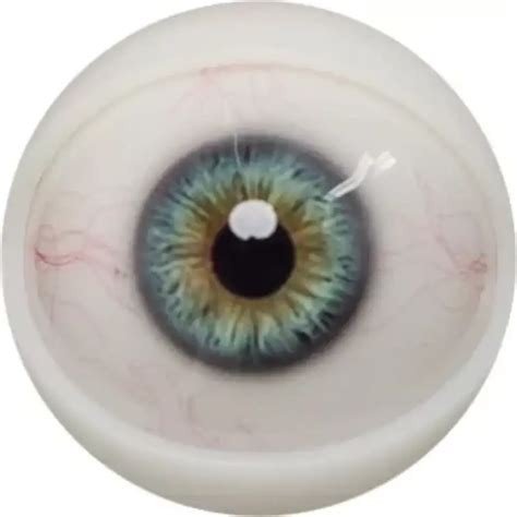 Male Sex Doll Henry Fanreal Cm Best Realistic Anime Sex Dolls My Robot Doll