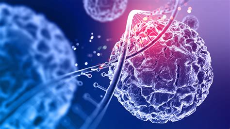 Infosanté Comment Se Forment Les Cellules Cancéreuses