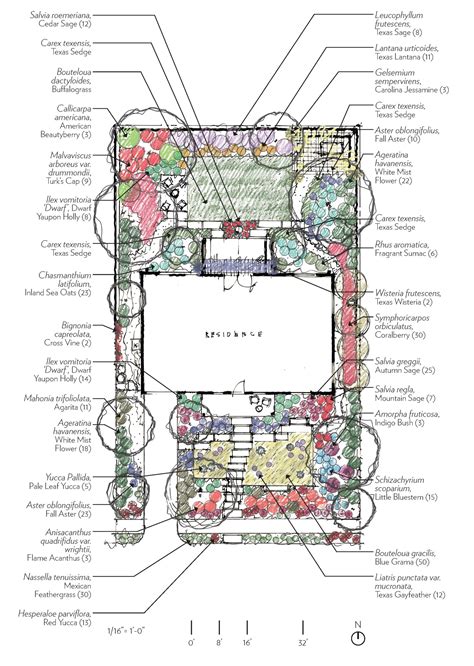 Dallas-Fort Worth - Native Garden Designs