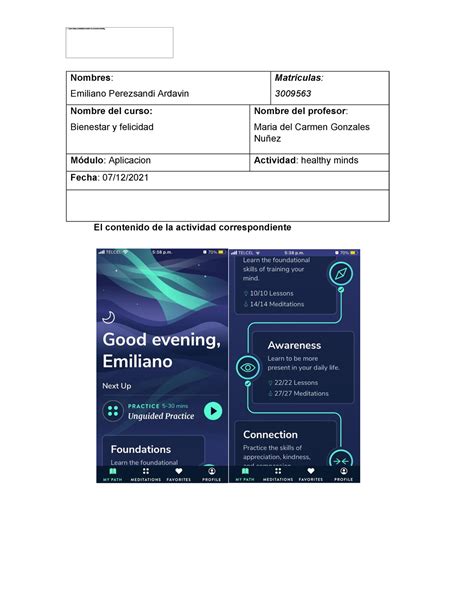 Ejercicio Refelxivo Healthy Minds Nombres Emiliano Perezsandi