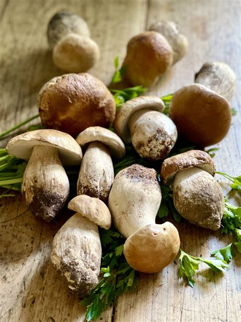 Funghi Porcini E Patate Al Forno Sono Un Piatto Semplice E Gustoso