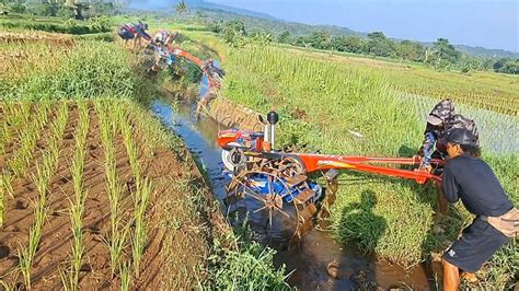 Beriringan Dua Traktor Saat Menuju Lahan Garapan YouTube