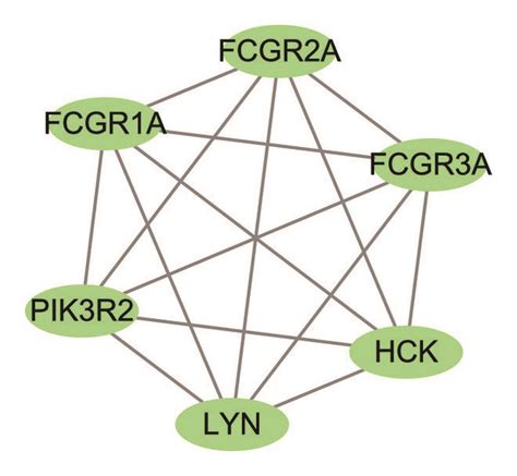 Ppi Networks Of The Common Degs And Module Analysis A The Ppi