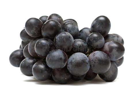 Black grapes stock image. Image of fruit, dieting, heap - 19486621