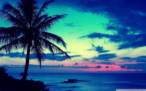 Hawaii Sunset Wallpapers - Top Free Hawaii Sunset Backgrounds ...