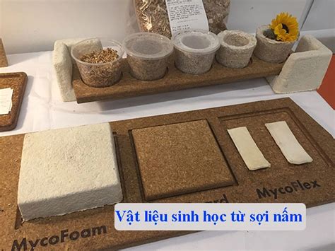 Tìm Hiểu Về Vật Liệu Sinh Học Suria Link