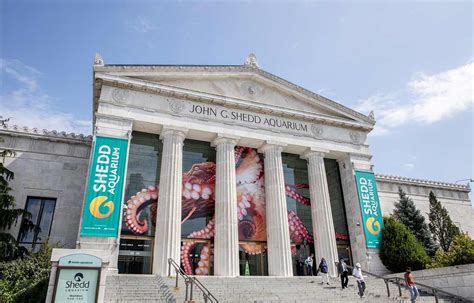 Shedd Aquarium: Celebrating curiosity, compassion, and conservation ...