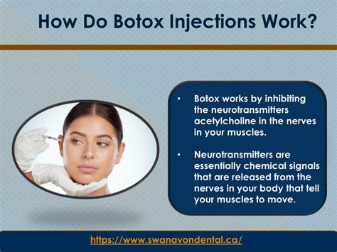 Ppt Botox 101 Everything You Need To Know Powerpoint Presentation