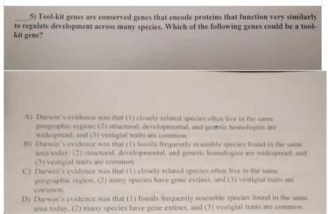 Solved 5) Tool-kit genes are conserved genes that encode | Chegg.com 