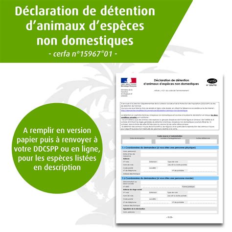 L Gislation La Nouvelle D Claration De D Tention Est Disponible