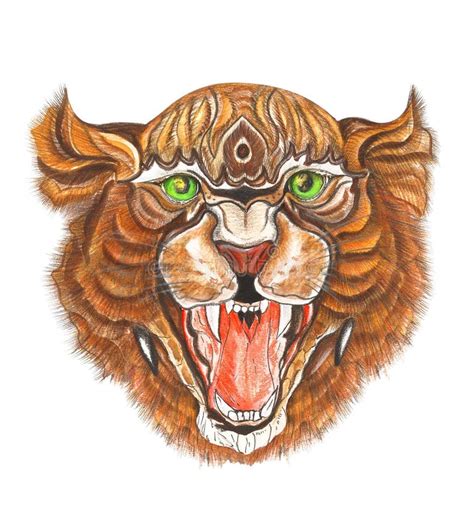 Tiger Mouth Drawing Stock Photos Free And Royalty Free Stock Photos