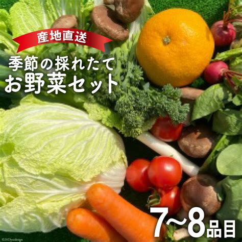 【楽天市場】【ふるさと納税】雲仙 季節の採れたてお野菜セット 7～8品目 九州きばる 長崎県 雲仙市 Item0928 野菜