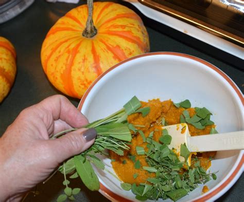 Pumpkin Bakes Cool Weather Treats For Chickens Backyard Poultry