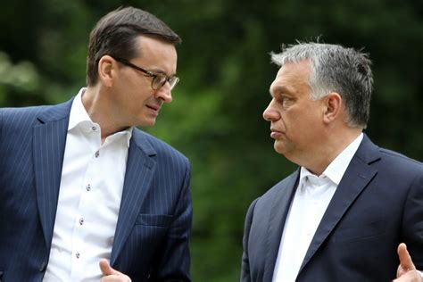 Sojusznik PiS jak agent Putina Niewiarygodne co Orbán mówi na