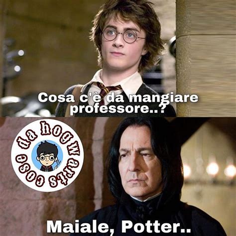 Harry Potter Fanpage Su Instagram Bhe Ragazzi Ahahahahah Che Dire 🤣