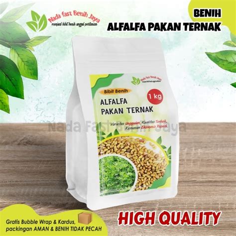 Jual Benih Alfalfa 1 Kg Bibit Alfalfa Benih Pakan Ternak Shopee