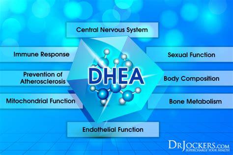 10 Tips to Boost DHEA levels For Healthy Skin and Hormones