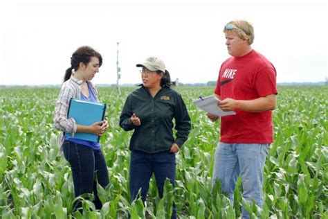 Skills That Can Help You Succeed In Agriculture Industry Career