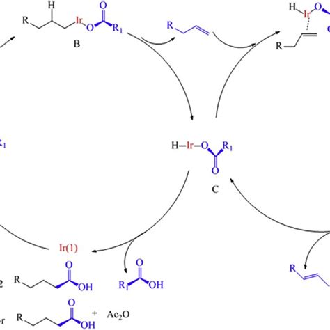 Decarbonylation Of Stearic Acid By Rh Complexes Download Scientific