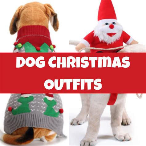 The Cutest Dog Christmas Outfits: Santa, Elf, and Bow Ties.