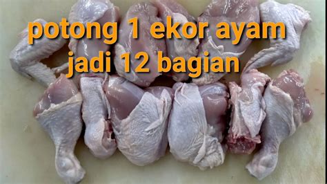 Cara Potong Ayam 1 Ekor Jadi 12 Bagian Mudah Dan Gampang Youtube