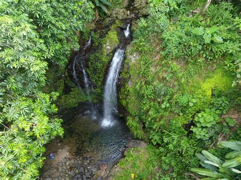 Cascadas Las Delicias En Ciales Puerto Rico 2016 Youtube