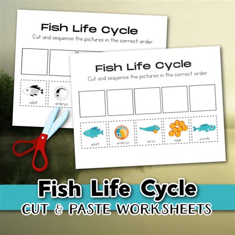 Fish Life Cycle Worksheet - A Fun Way to Learn!