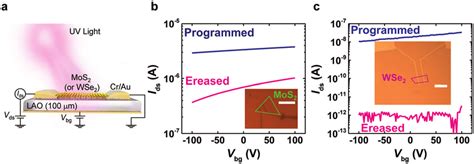 Photo Induced Doping Effect In Mos And Wse Devices On