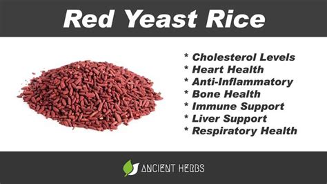 Red Yeast Rice Benefits Uses Dosage And Side Effects