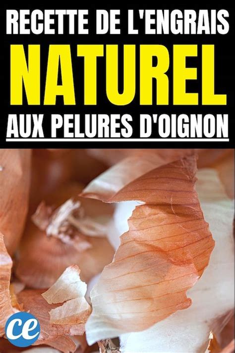 La Recette De L Engrais Naturel Aux Pelures D Oignons