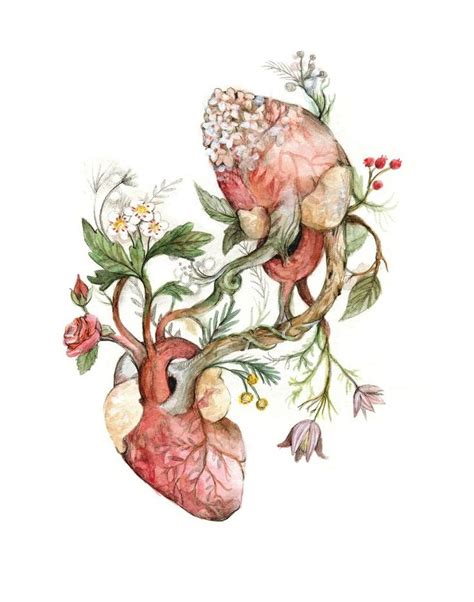 Pin By Suzanne Gravel On Amour Et Amoureux Drawings Anatomy Art