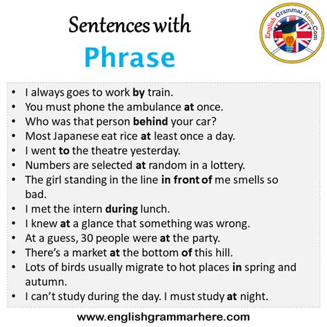 Sentences With Flexible Flexible In A Sentence In English Sentences