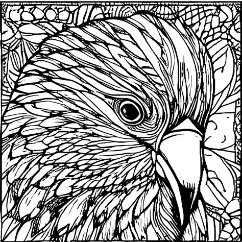 Realistic Bird Coloring Page Creative Fabrica