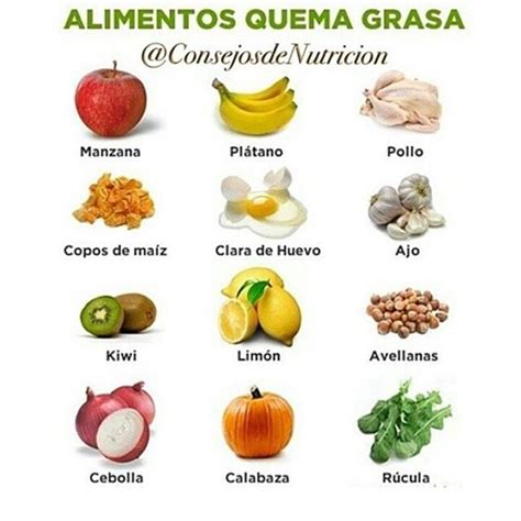 Alimentos Quema Grasas Healthy Mind Healthy Life Healthy Hair Journey