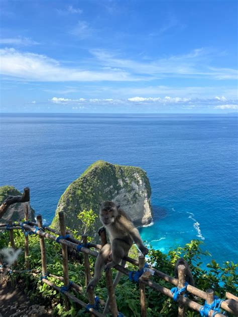 📍Nusa Penida Island | Bali reizen, Op reis, Reizen