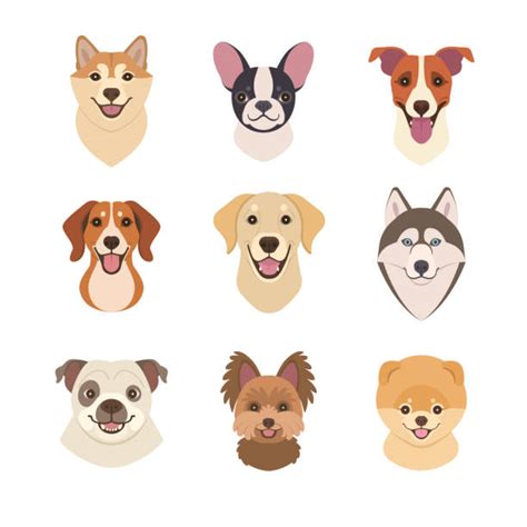 Smiling Dog Illustrations Royalty Free Vector Graphics And Clip Art Istock