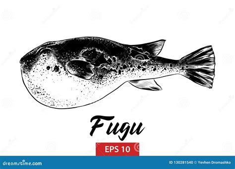 Bosquejo Exhausto De La Mano De Los Pescados Del Fugu En Negro Aislados