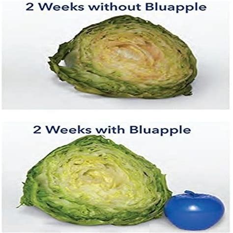 25 Things That'll Help Decrease Food Waste